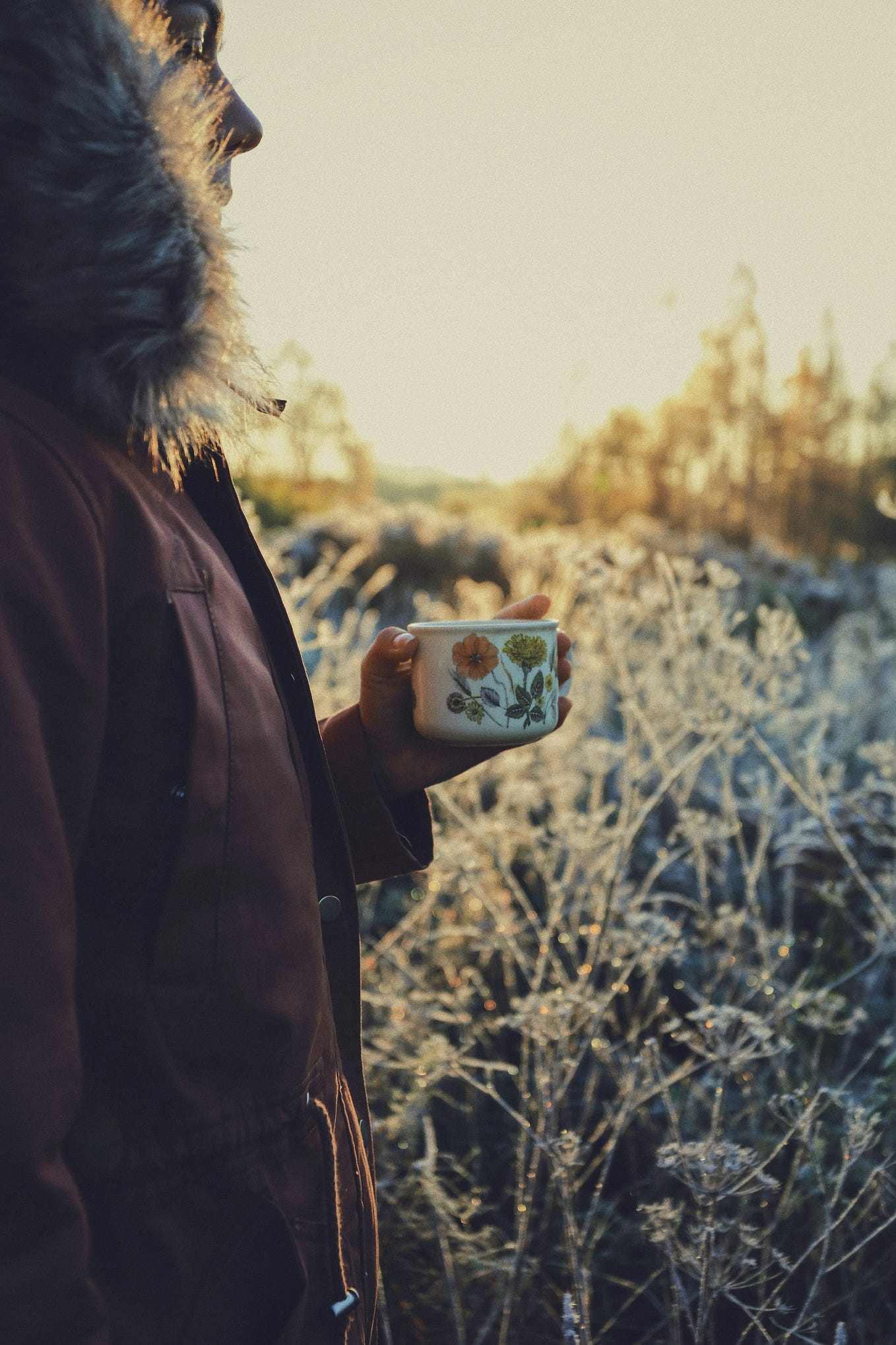 Preparing for Christmas Daily. December 9 Jesse Tree Reflection by