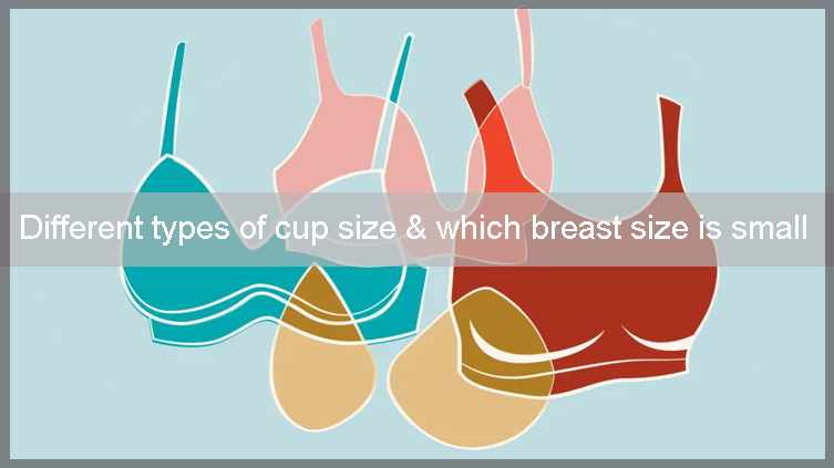 What Is Normal Breast Size In India GetSetWild By Get Set Wild Medium