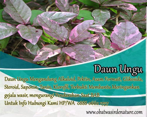 Ciri-Ciri Ambeien Yang Sudah Parah | by Ambejoss 123 | Medium