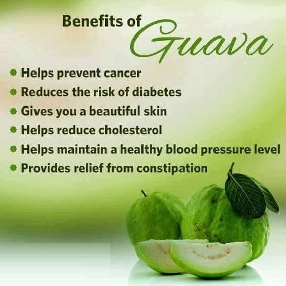 9 Surprising Uses and Benefits of Guava Leaves Tea by Guava Leaf Tea
