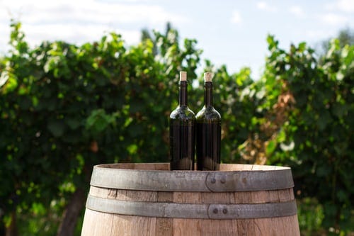 What should a person prepare before going on a wine tour?