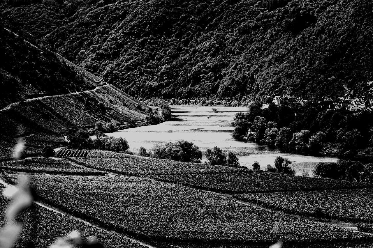 Create a Personalized Charcuterie Board for the Perfect Party! by