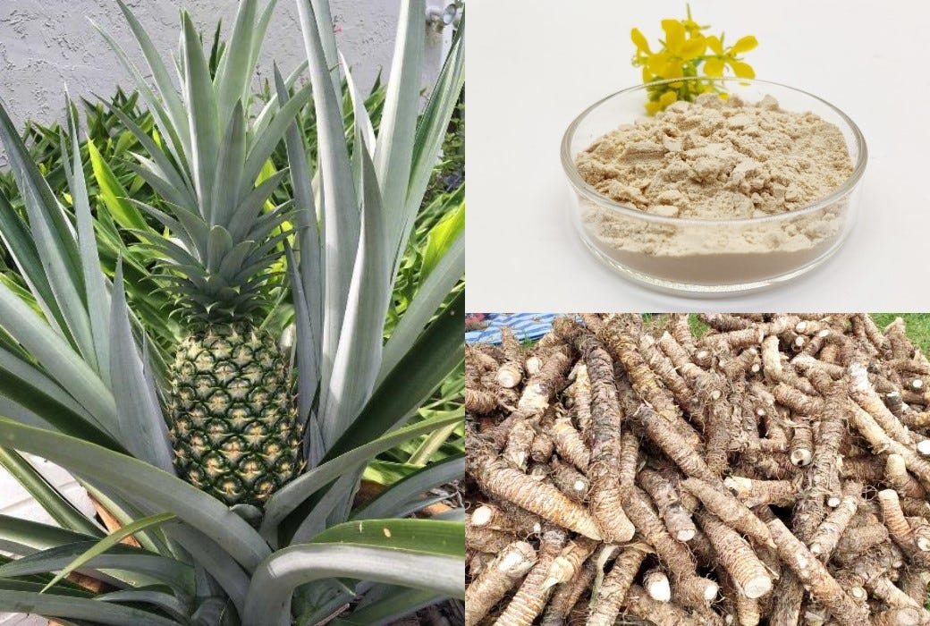 Does Bromelain Help With Bruising at Lea Figueroa blog