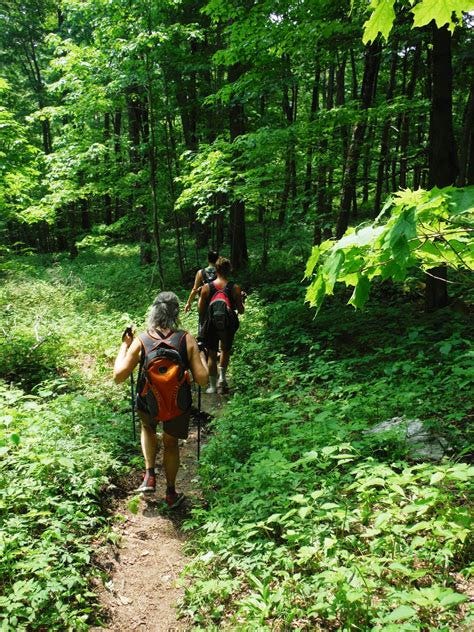 Top 5 Free Places To Swim In San Antonio | by Fanniewoodard | Jun, 2024