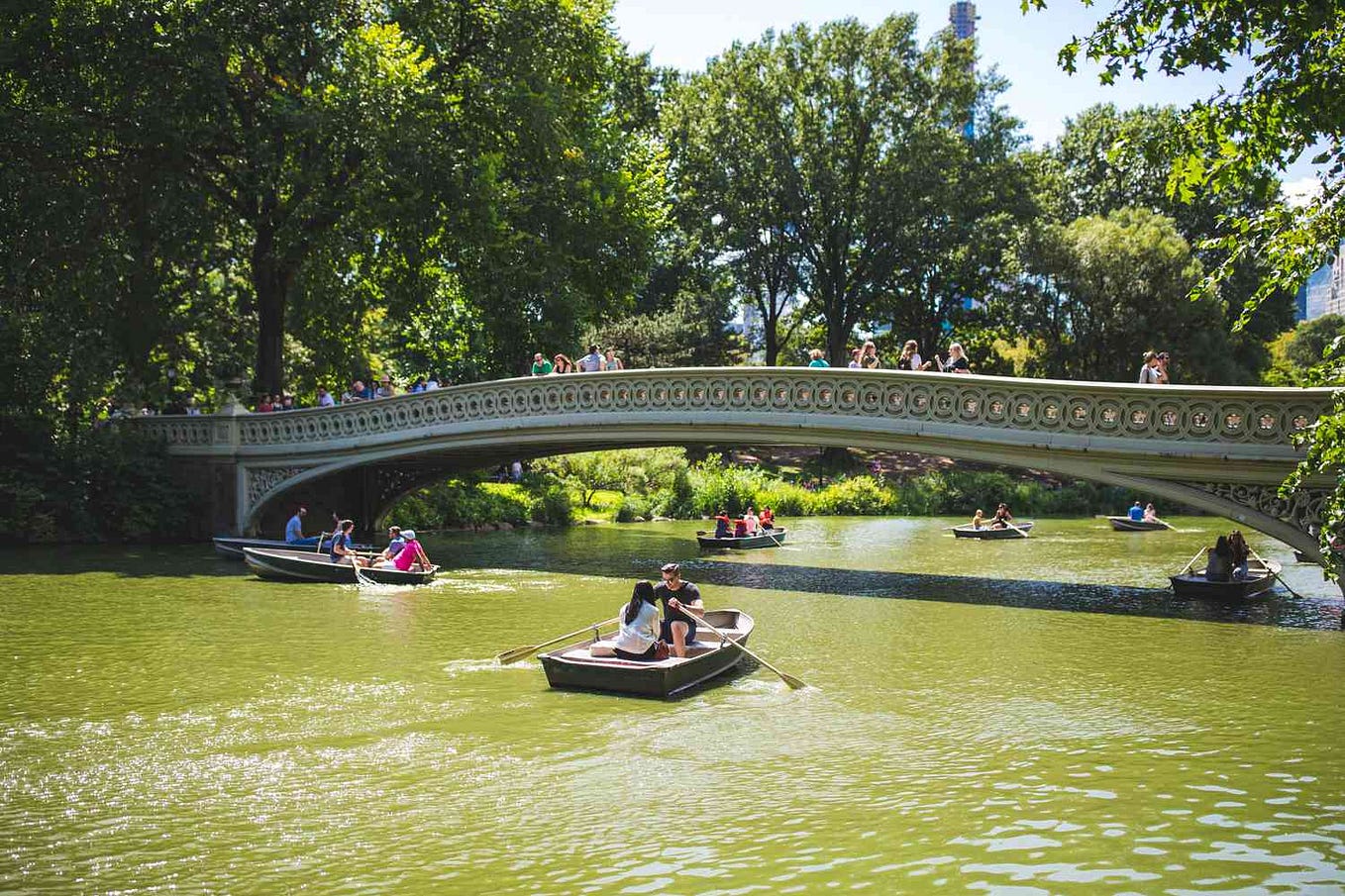 Central Park: A New York Icon Celebrated for More Than Just Scenery ...