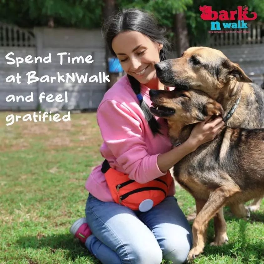 dog kennels in delhi barkn walk Medium