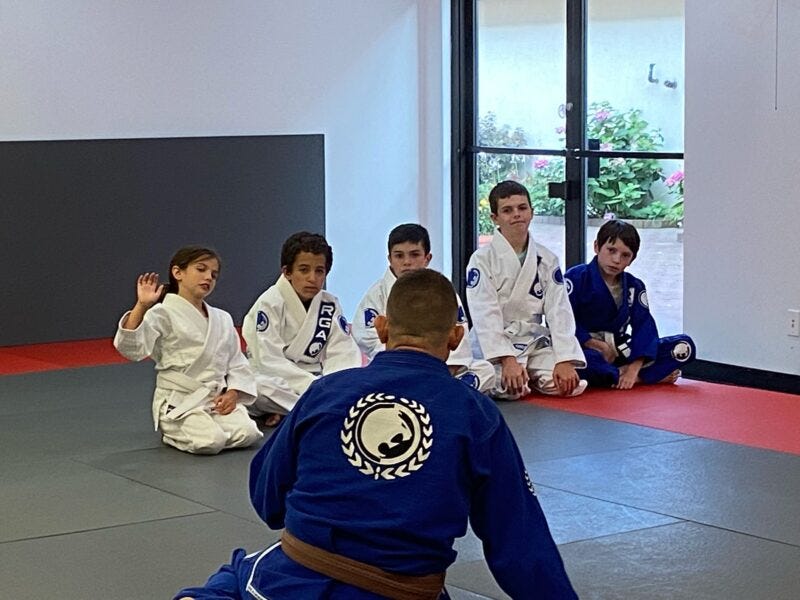 BRAZILIAN JIUJITSU BELTS. “Every detail that you should learn… by