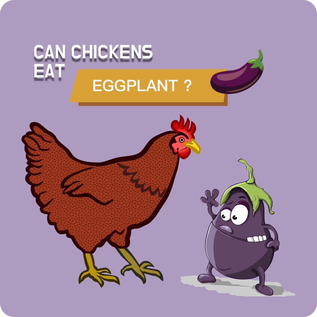 Can Chickens Eat Dragon Fruit? (VetApproved) by Mazhaoyang Medium