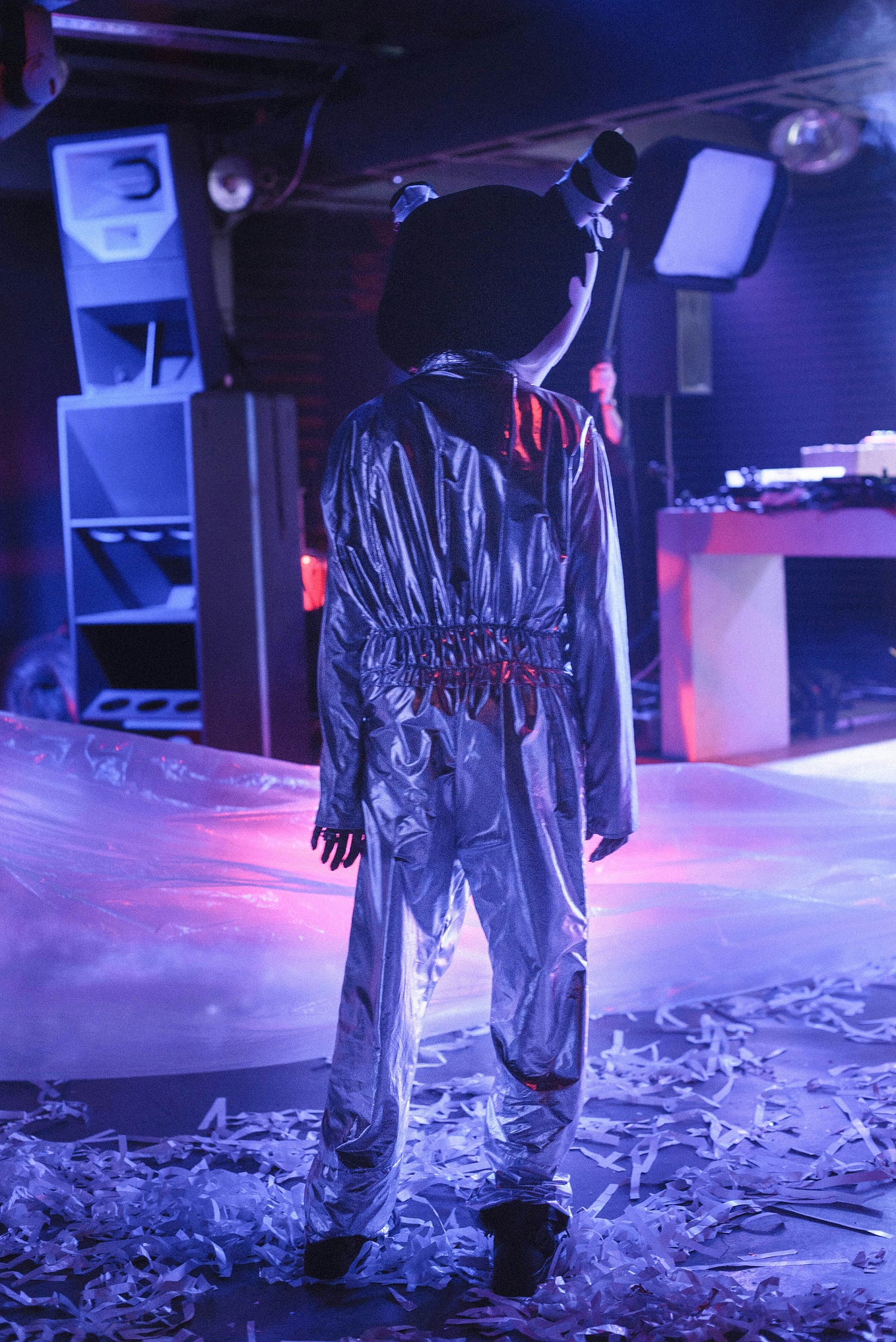 My House Plants. I love plants. Do You? | by Bambboo Devi | Never Stop