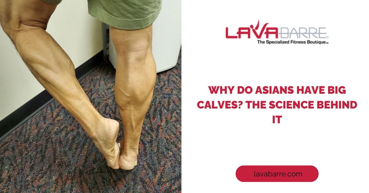 Flexed vs Unflexed Abs A Visual Comparison by Lavabarre Medium