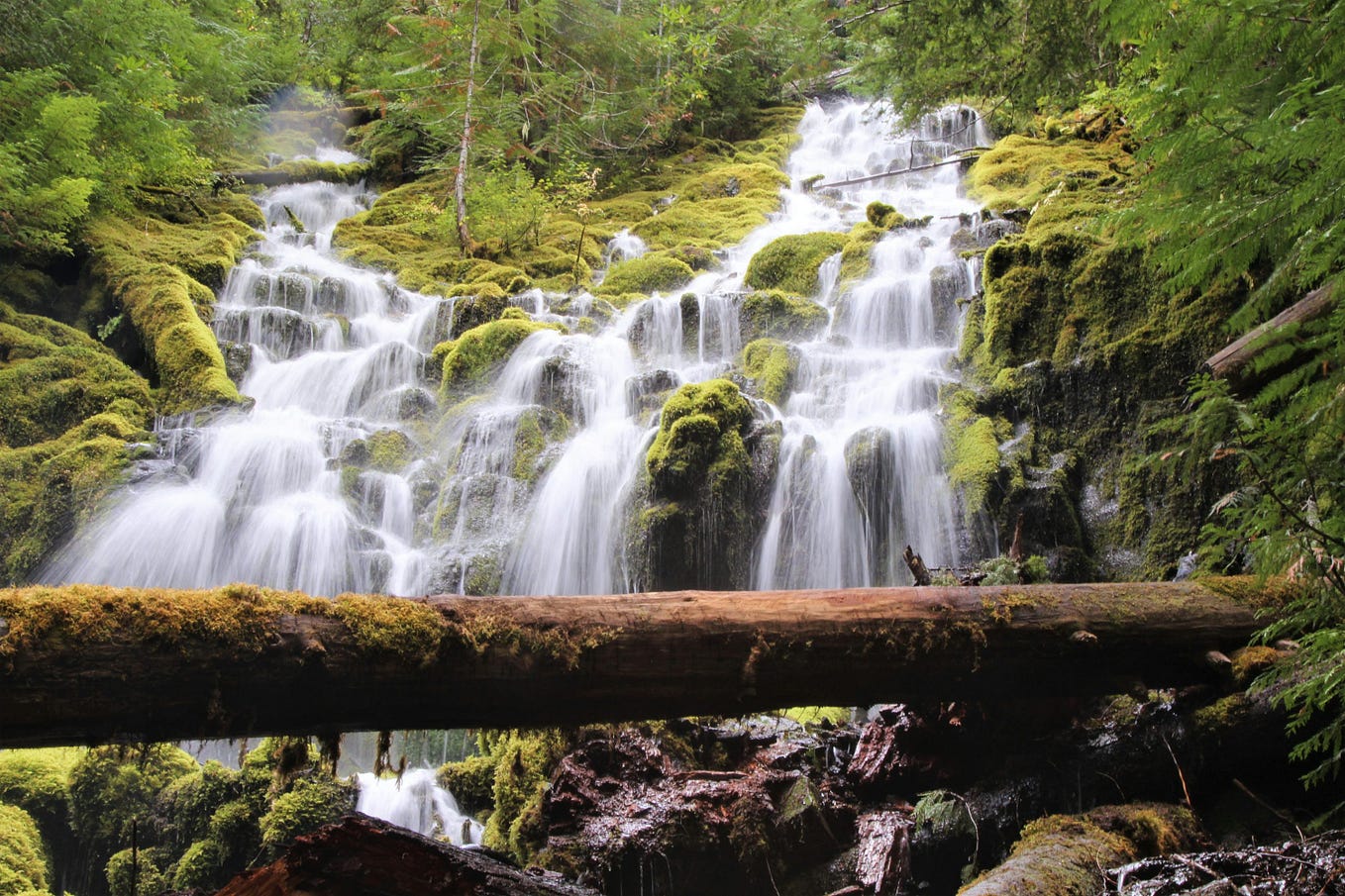 Create a Rate-Limited API with Django REST Framework Throttling | by ...