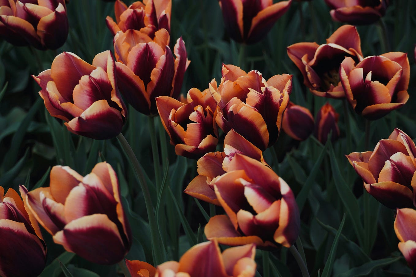 Ha! I have heard that, and it does make sense to me. I guess somebody