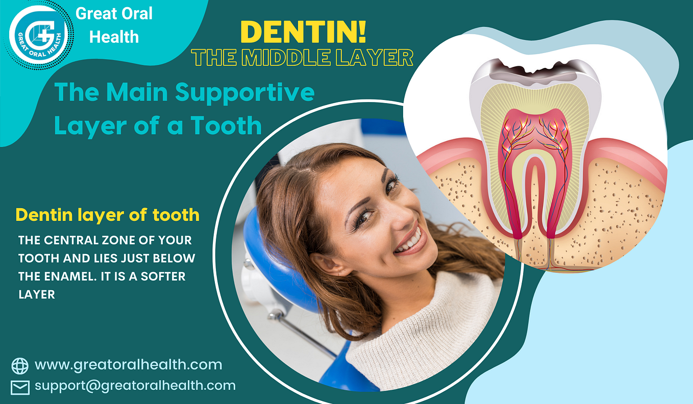 What exactly are Teeth made of?. Have you ever thought about the things