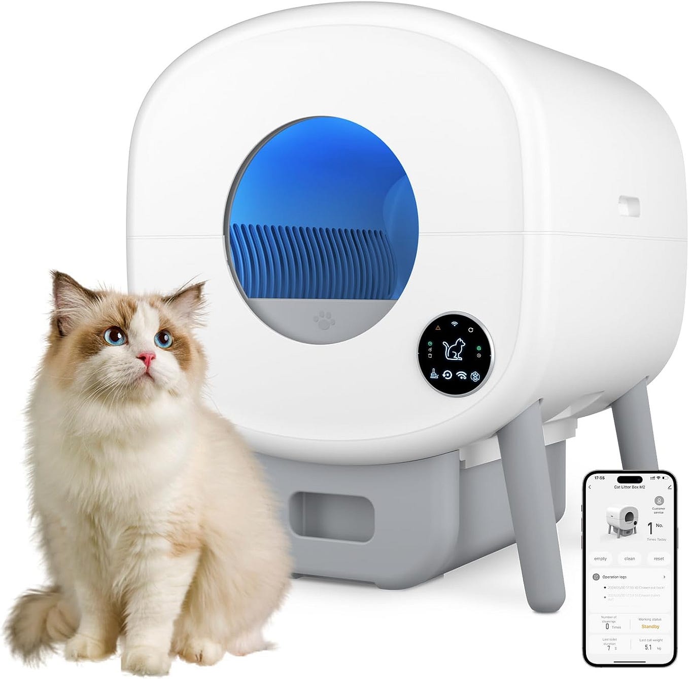 Self Cleaning Litter Box Review A GameChanger for Feline Comfort by