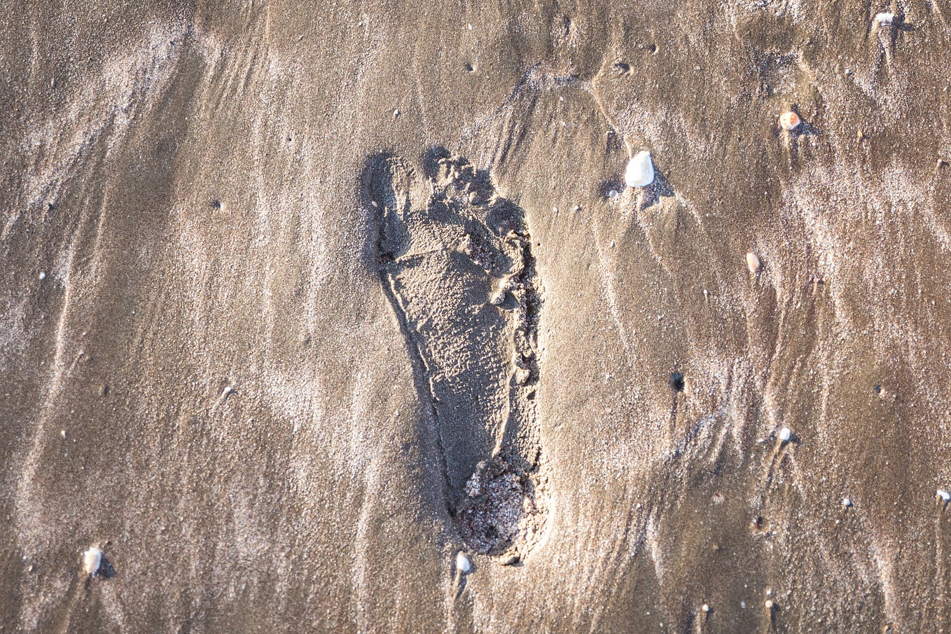 Structure Pattern — Bridge - ebwood - Medium