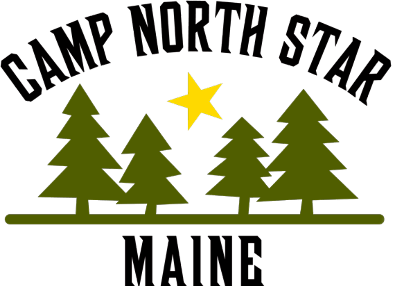 best overnight camps near me. The Magic of Overnight Camps Building… by Camp North Star May