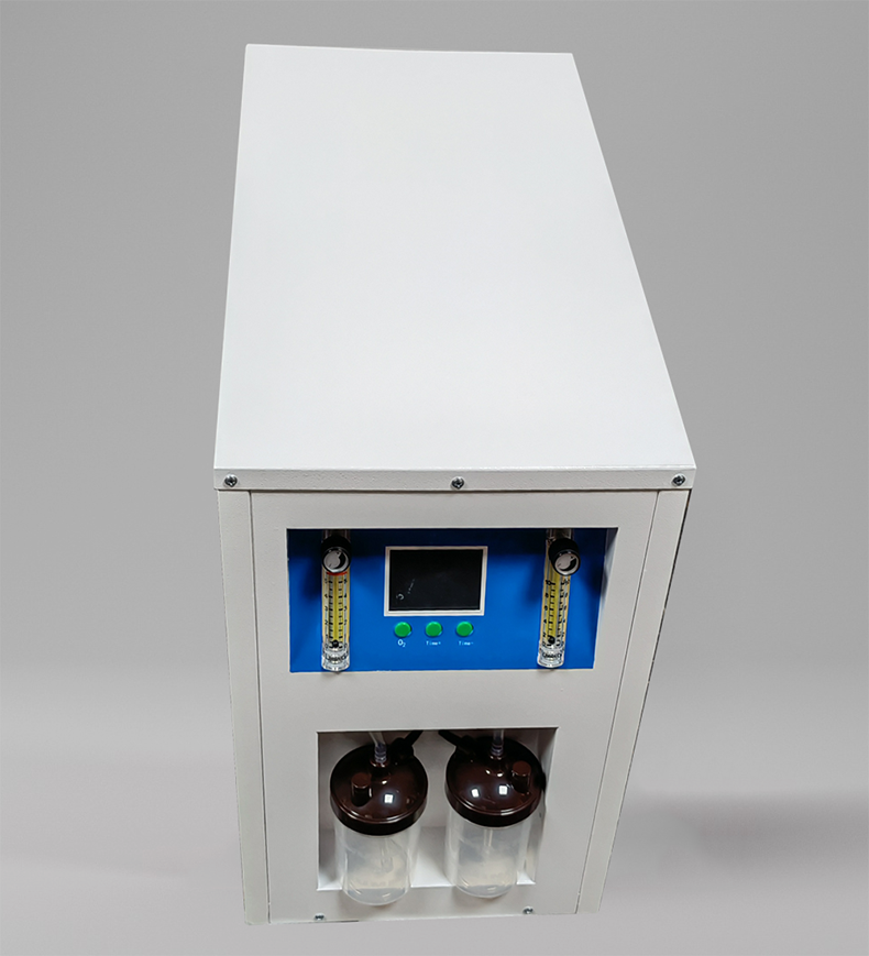 Can respironics oxygen concentrator be taken on the plane? by xinbada