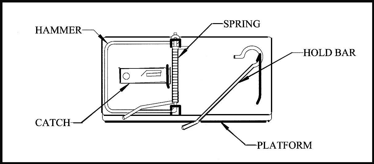 The Ping Pong Ball Launcher. Introduction | by Sarah Clyne | Medium