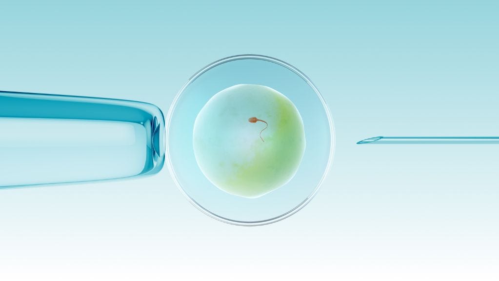 How to Check Pregnancy at Home Naturally? by Gaudium IVF Mar, 2024