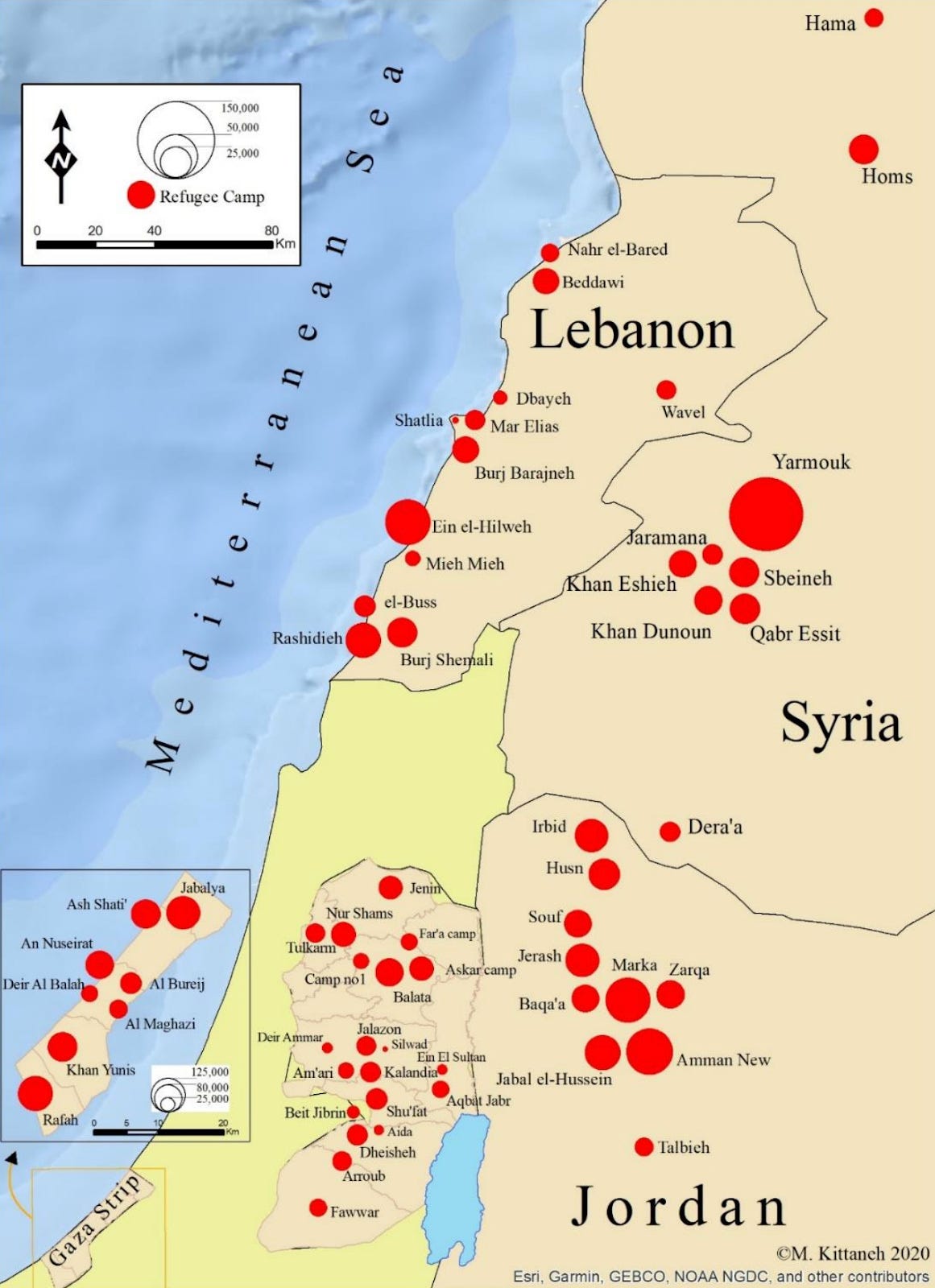Do Arab States Support Palestine?
