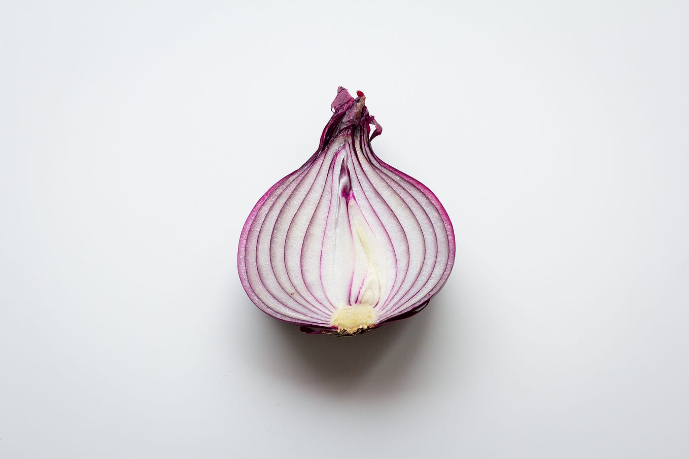 Back to Cooking Basics: The Versatile Onion