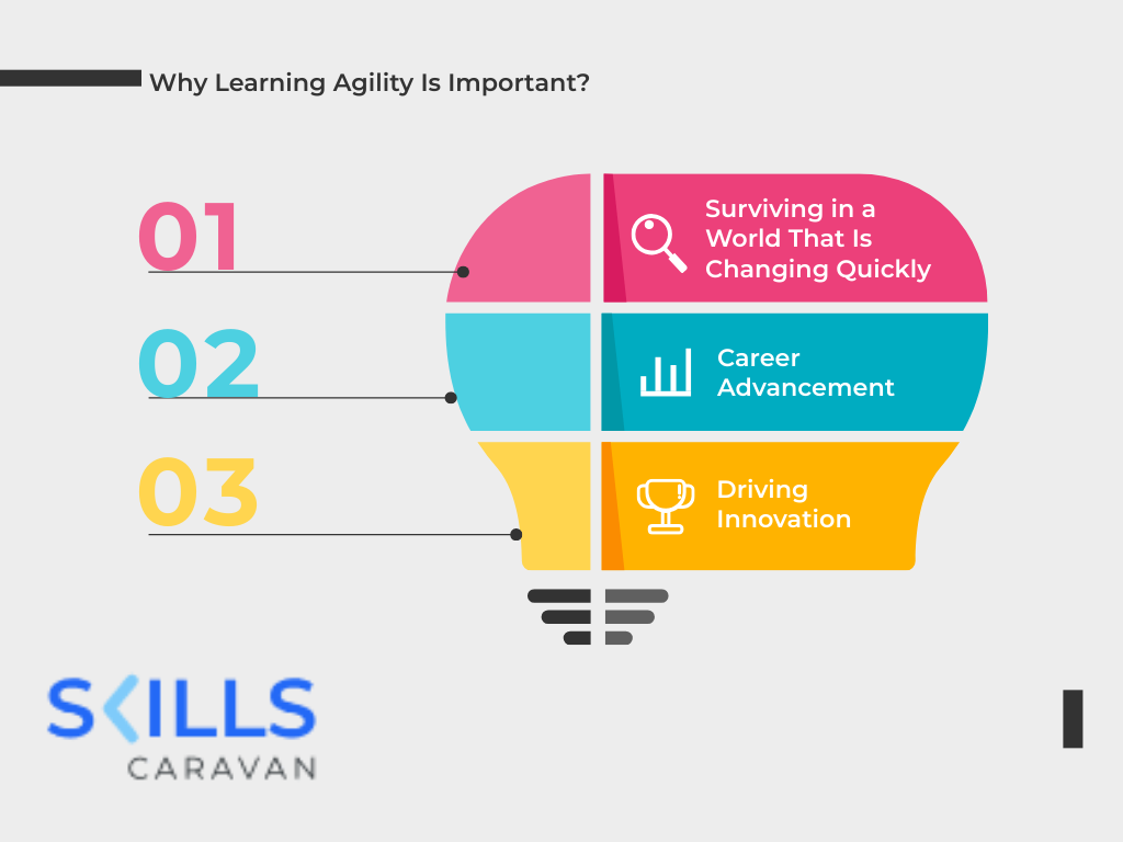 examining-the-advantages-of-learning-environments-by-skillscaravan