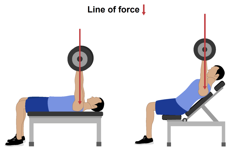 Incline Bench Press VS Flat Bench Press | by Ali Körükçü | Medium