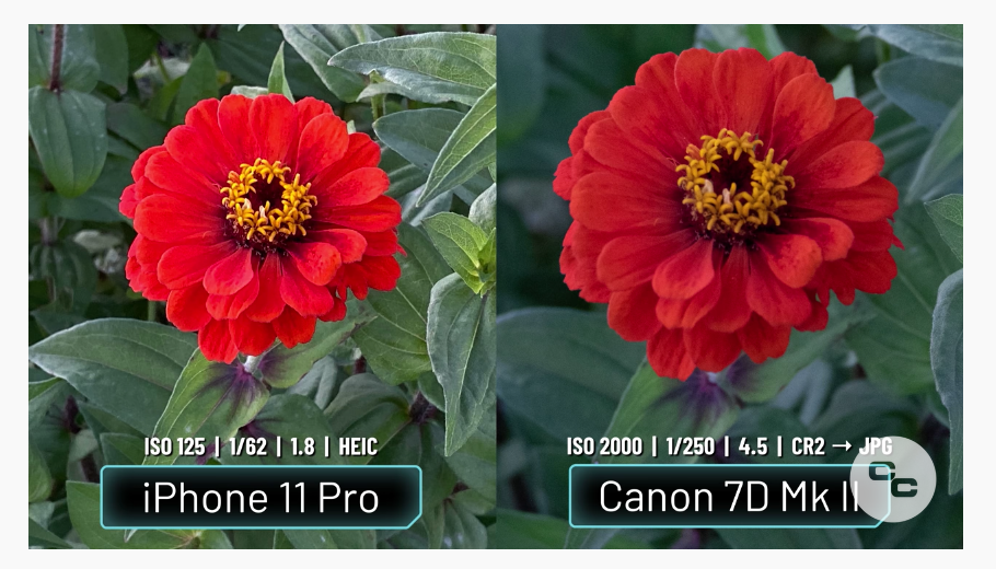 How Does a DSLR Compare to the iPhone 11 Pro Max Camera? | by Monument |  Medium