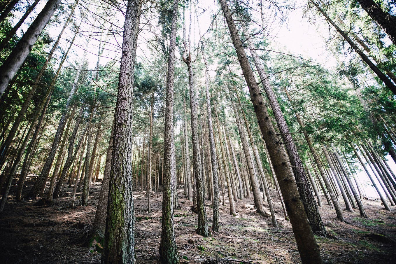 Heaps & Priority Queues — Data Structures & Algorithms for Data Scientists
