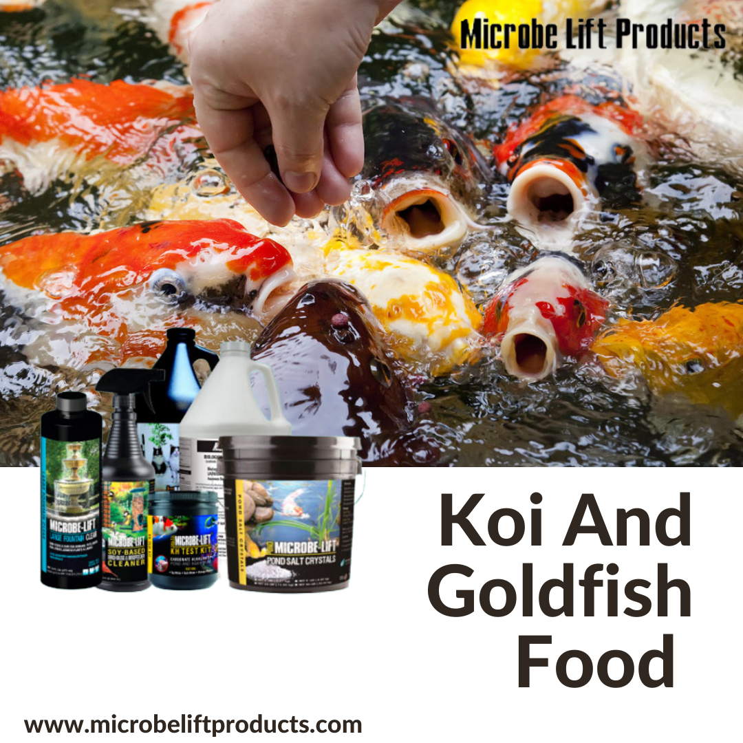 HighQuality Goldfish Summer Staple Food — MICROBELIFT PRODUCT