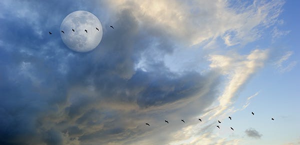 Kin Migration Details for Token Holders