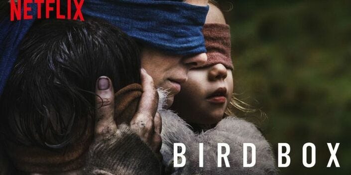 Analysis of Netflix's “Bird Box,” a Deeper Meaning | by Mary Gabrielle  Strause | Medium