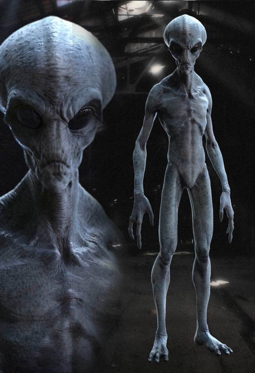 Ufos And Aliens — An Orion Connection By Cristina Gomez Medium 