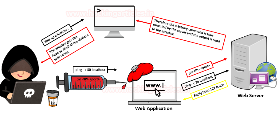 Ataque Cross-Site Scripting (XSS) na prática + Bypass em Firewall +  Sequestro de sessão, by Igor Leal
