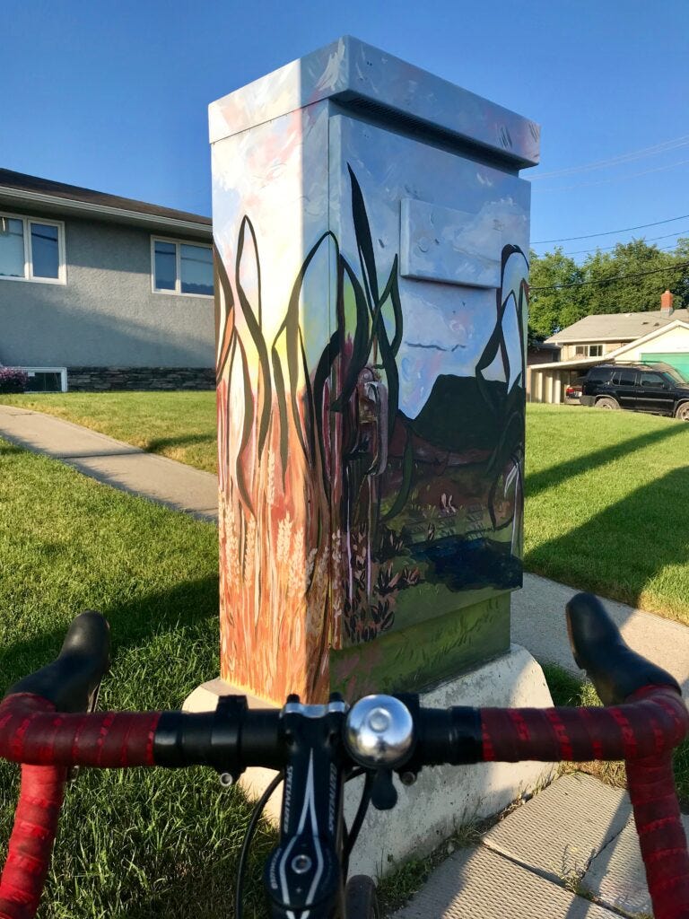 My summer mission: Photographing utility-box art in my city