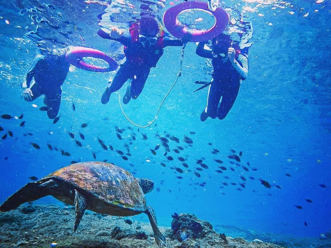 【小琉球潛水】來去小琉球潛水找海龜！浮潛，深潛，自潛潛點大解密