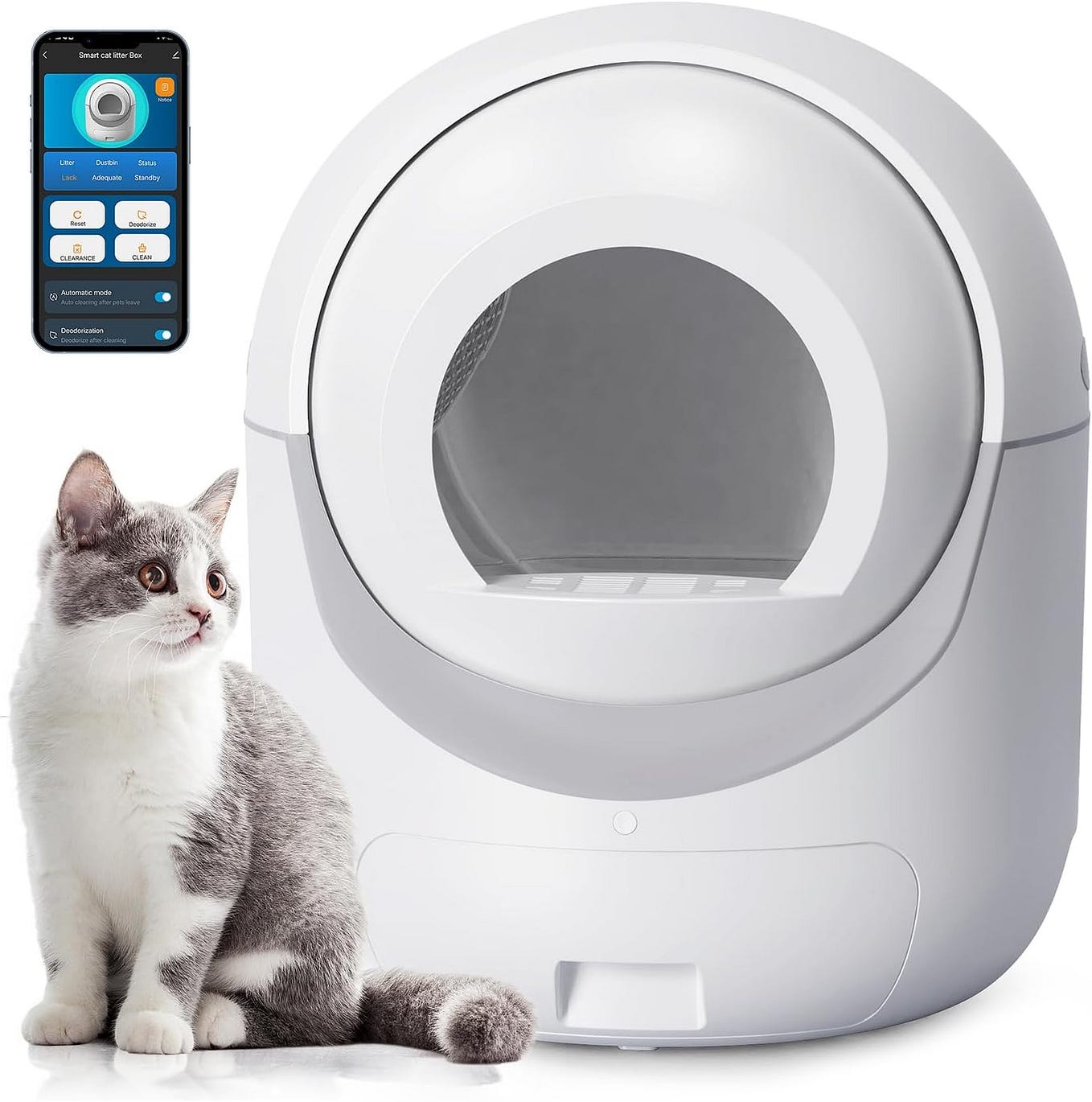 Self Cleaning Litter Box Review A GameChanger for Feline Comfort by
