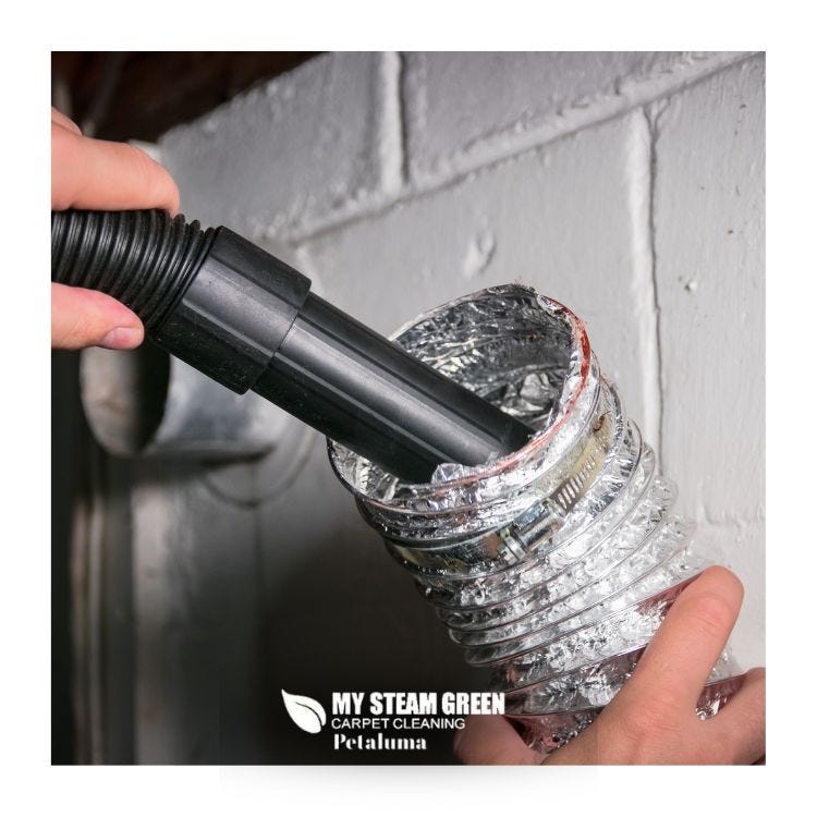 The Importance of Regular Carpet Cleaning A Comprehensive Guide