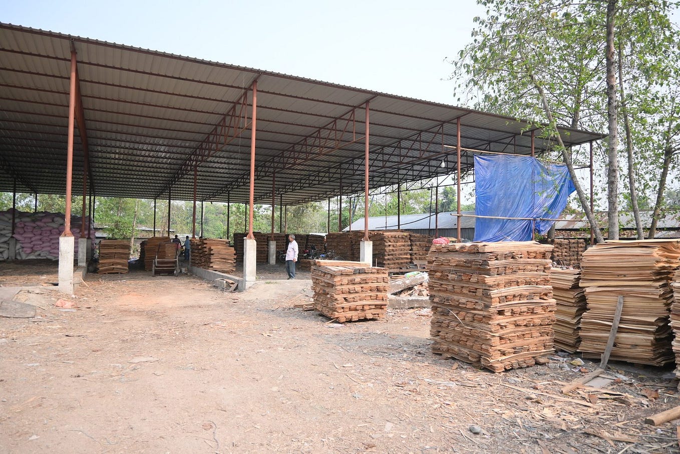 Unveiling EcoInnovation How the Top Ten Plywood Companies in India