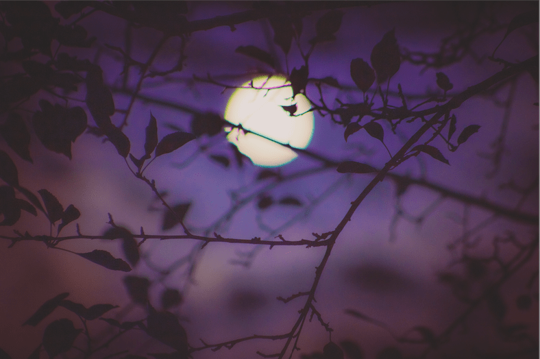 The October 2, 2024 New Moon Solar Eclipse A Powerful Ritual + It’s