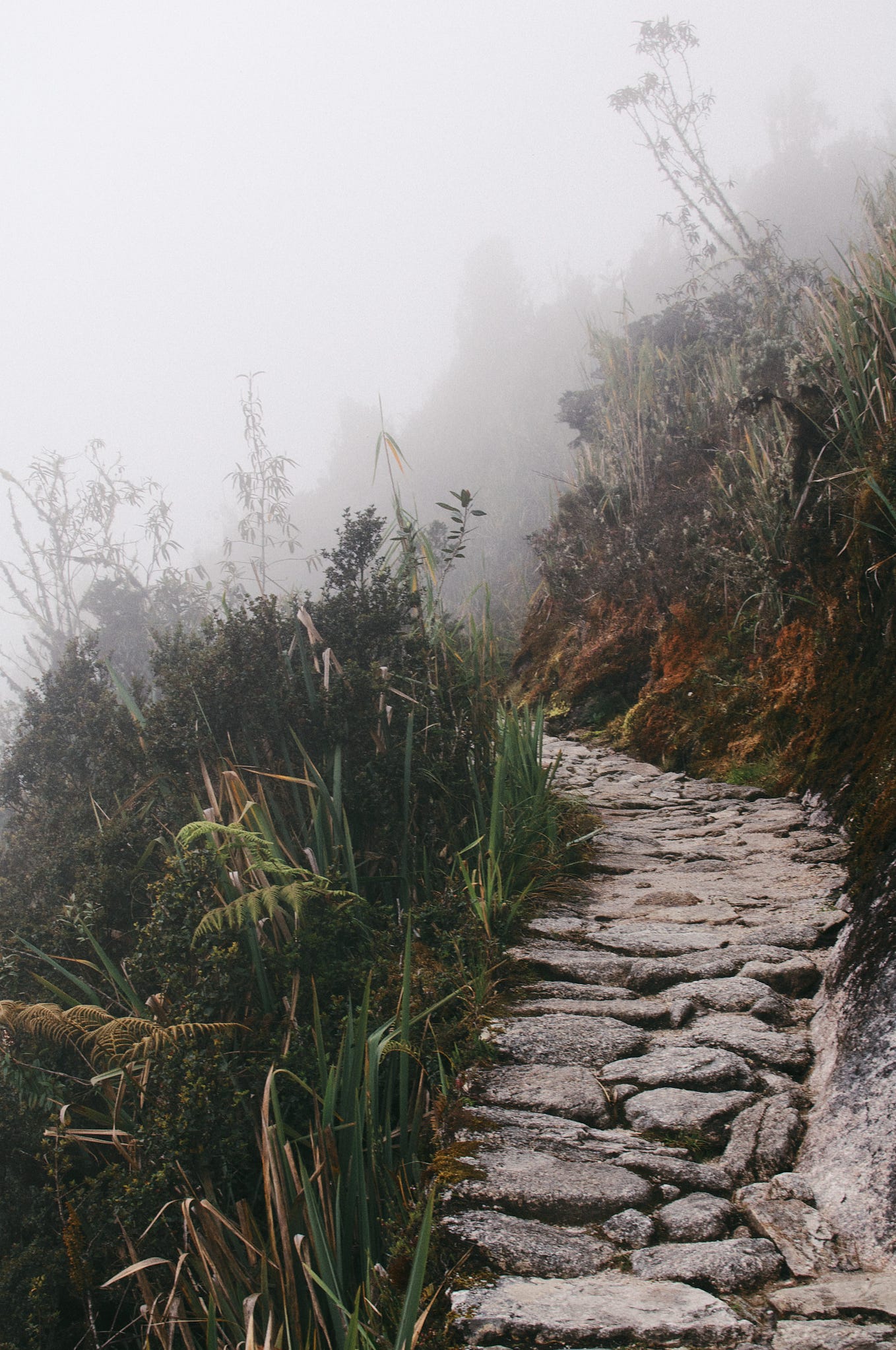What happens between incarnations? by Wes Gietz Aug, 2024 Medium