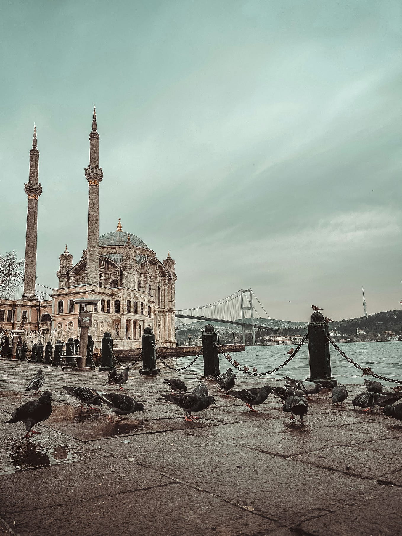 very informative story, thank for sharing - Ahseera⚡ - Medium 
