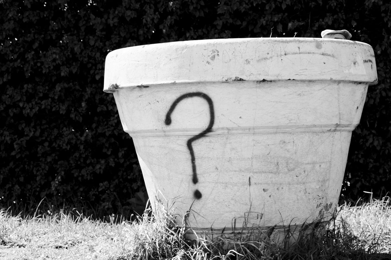 the-way-you-ve-captured-the-timeless-connection-between-writers-and