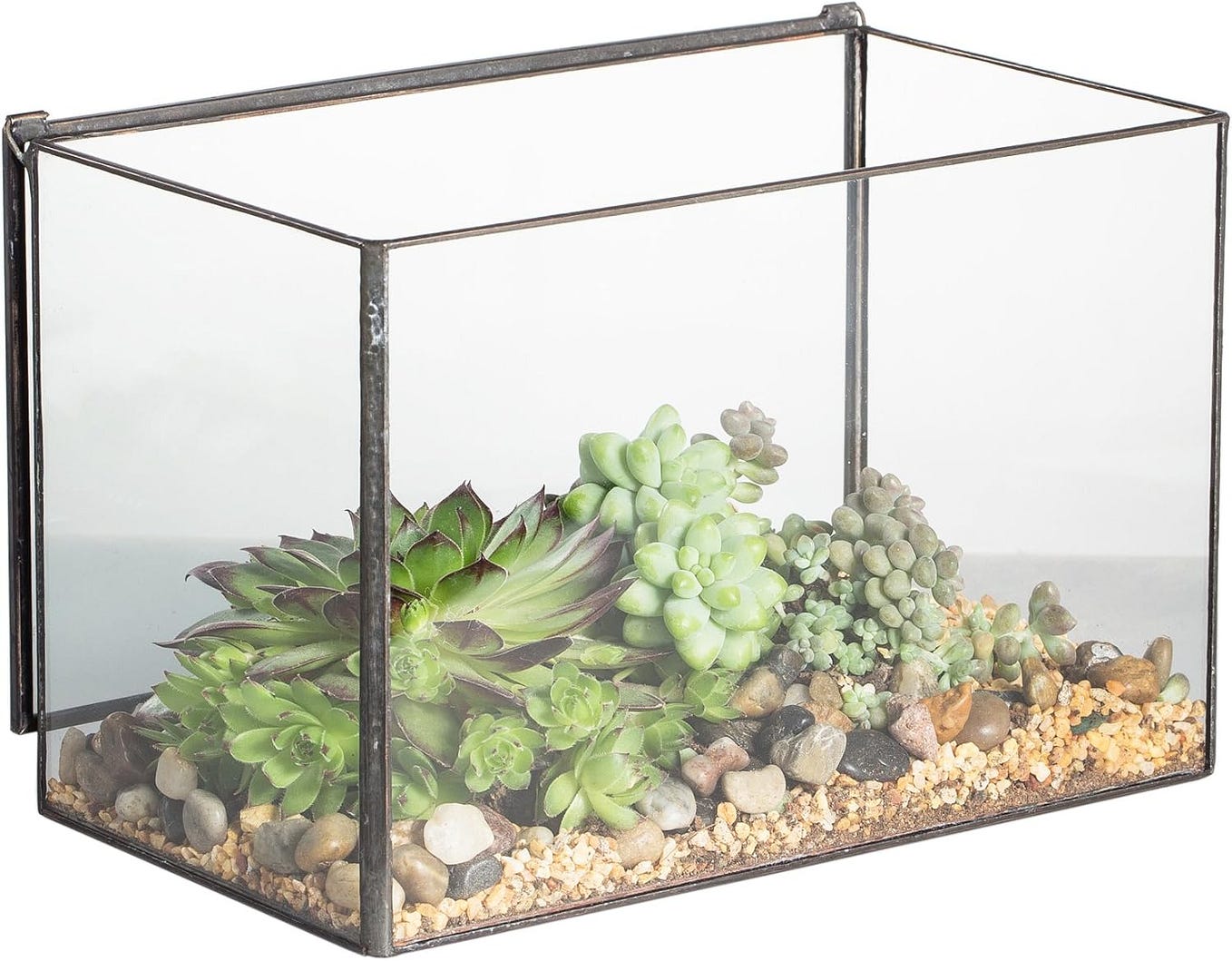 Zilla QuickBuild Terrarium Review Easy Clean & Sleek Design by James