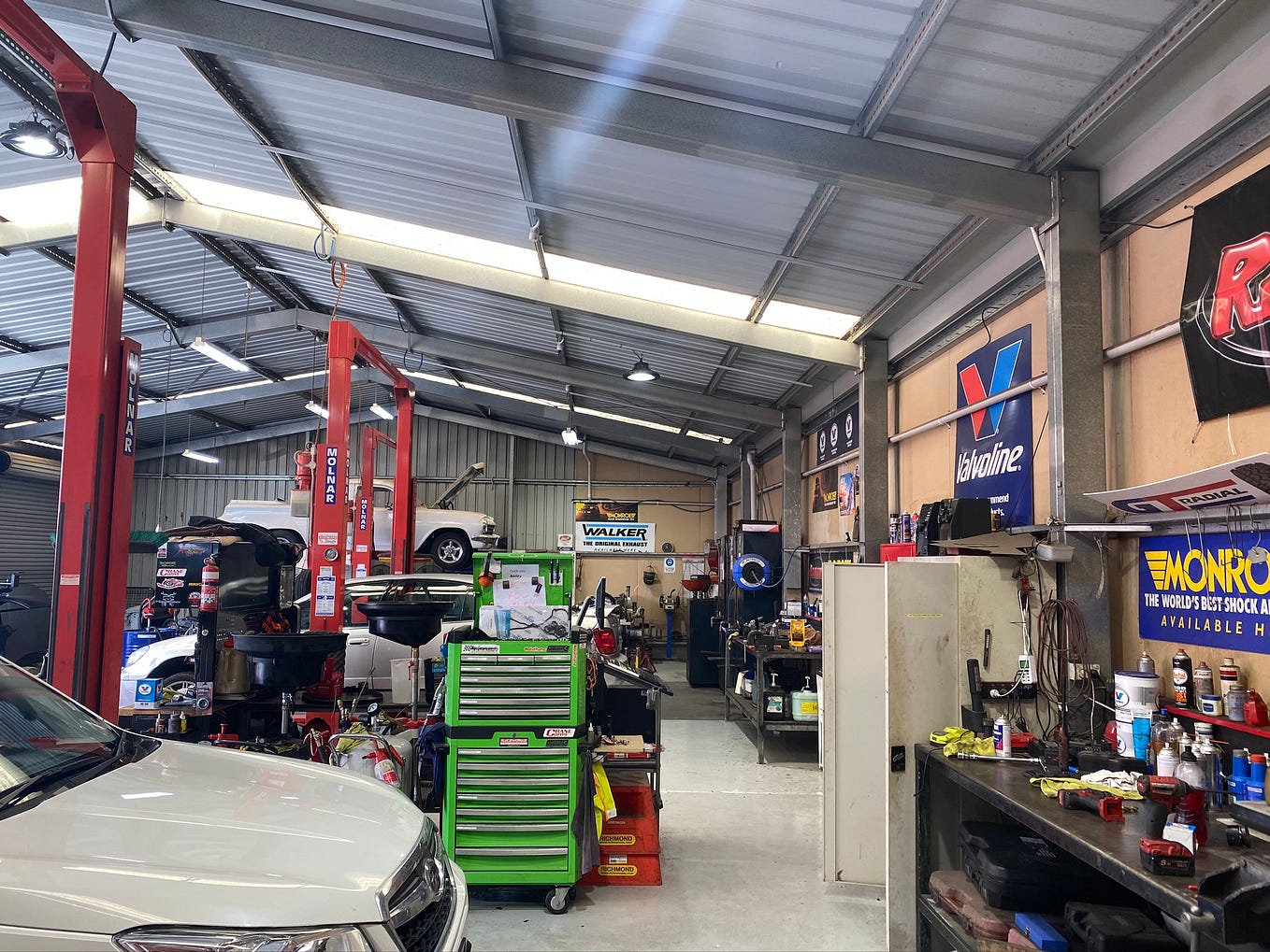 Lucky Cat Dim Sum Restaurant Reviews What You Need to Know in 2024