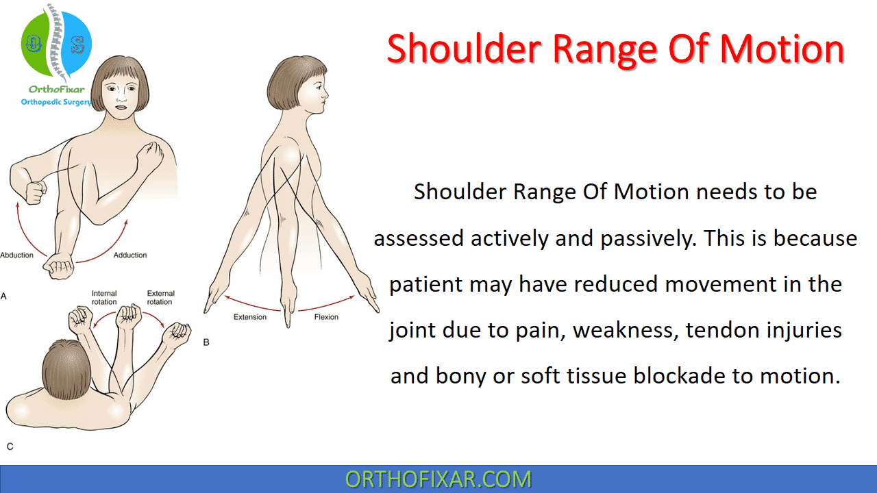 Head Impulse Test by Orthofixar Orthopedic Jul, 2024 Medium