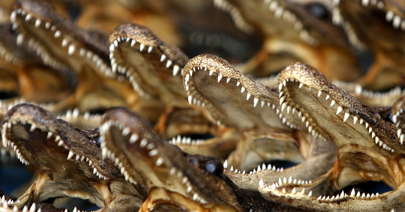 Optimizing Snowflake Data Clustering by John Ryan Aug, 2024 Medium