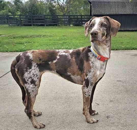 Where Can I Buy Sportsman Warehouse Gift Cards? (2024 Guide) by Khan