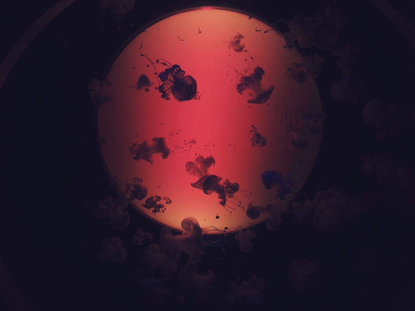 Chi-square Test — How to calculate Chi-square using Formula & Python