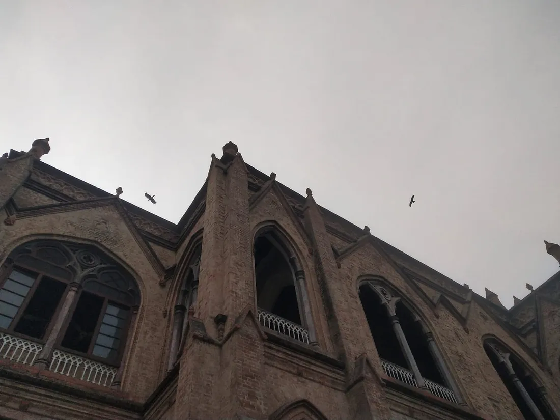 Mega Project: A Social Entrepreneurial Idea | by Muhammad Talha Rafique ...